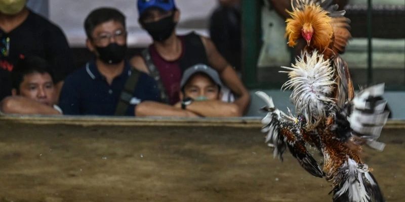 Nguyên tắc phân định thắng bại