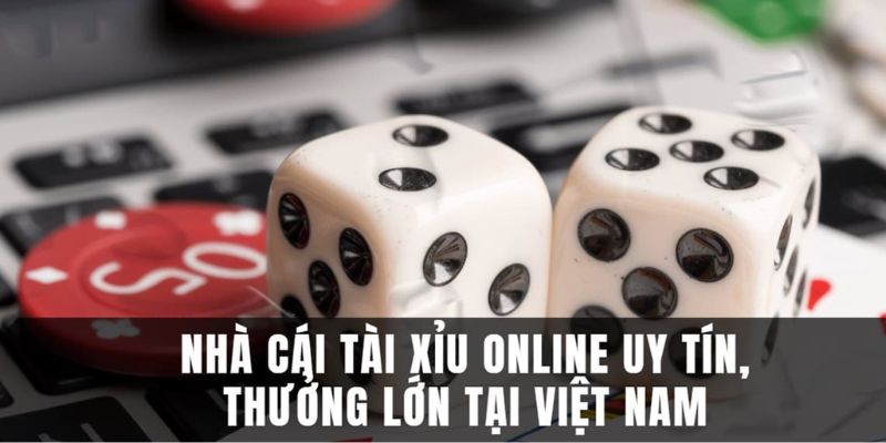 Người chơi mới hoàn toàn nhanh chóng làm quen với nền tảng.